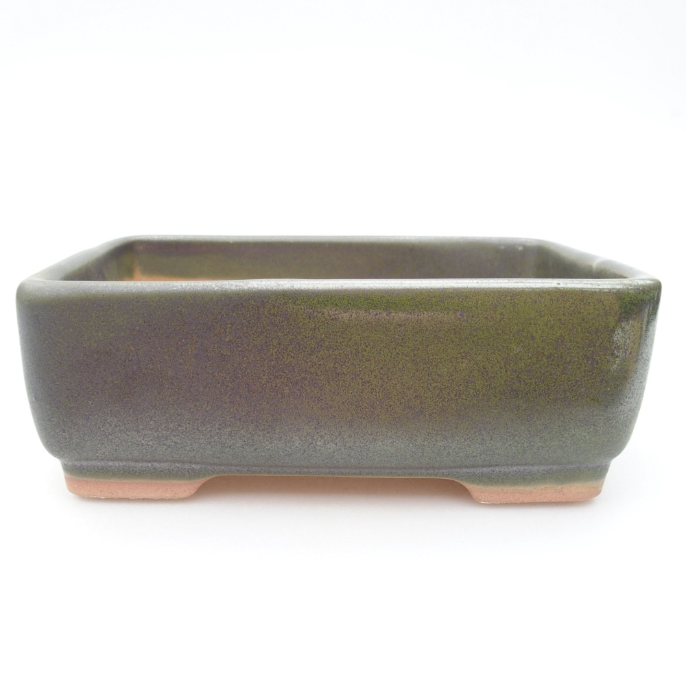 Keramik-Bonsaischale  15 x 11 x 5,5 cm, Farbe Grün