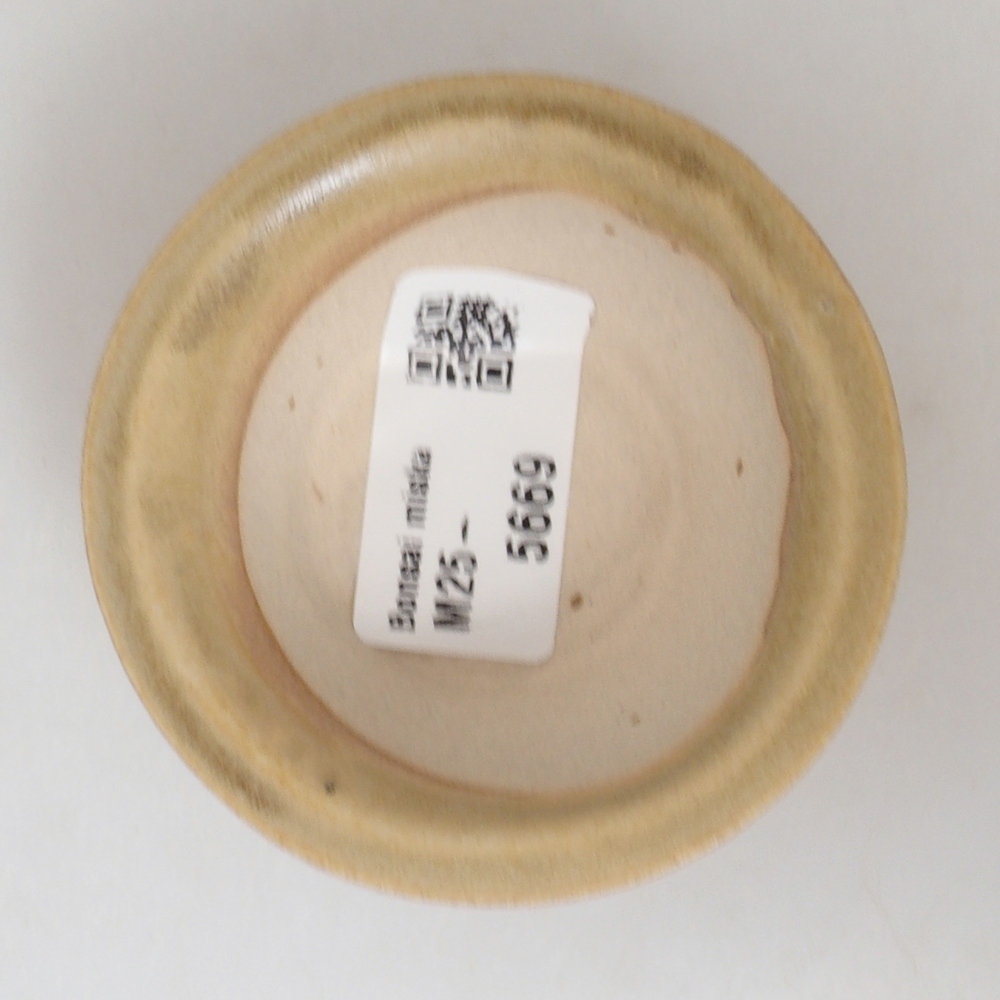 Mini-Bonsaischale 7 x 7 x 2,5  cm, Farbe braun