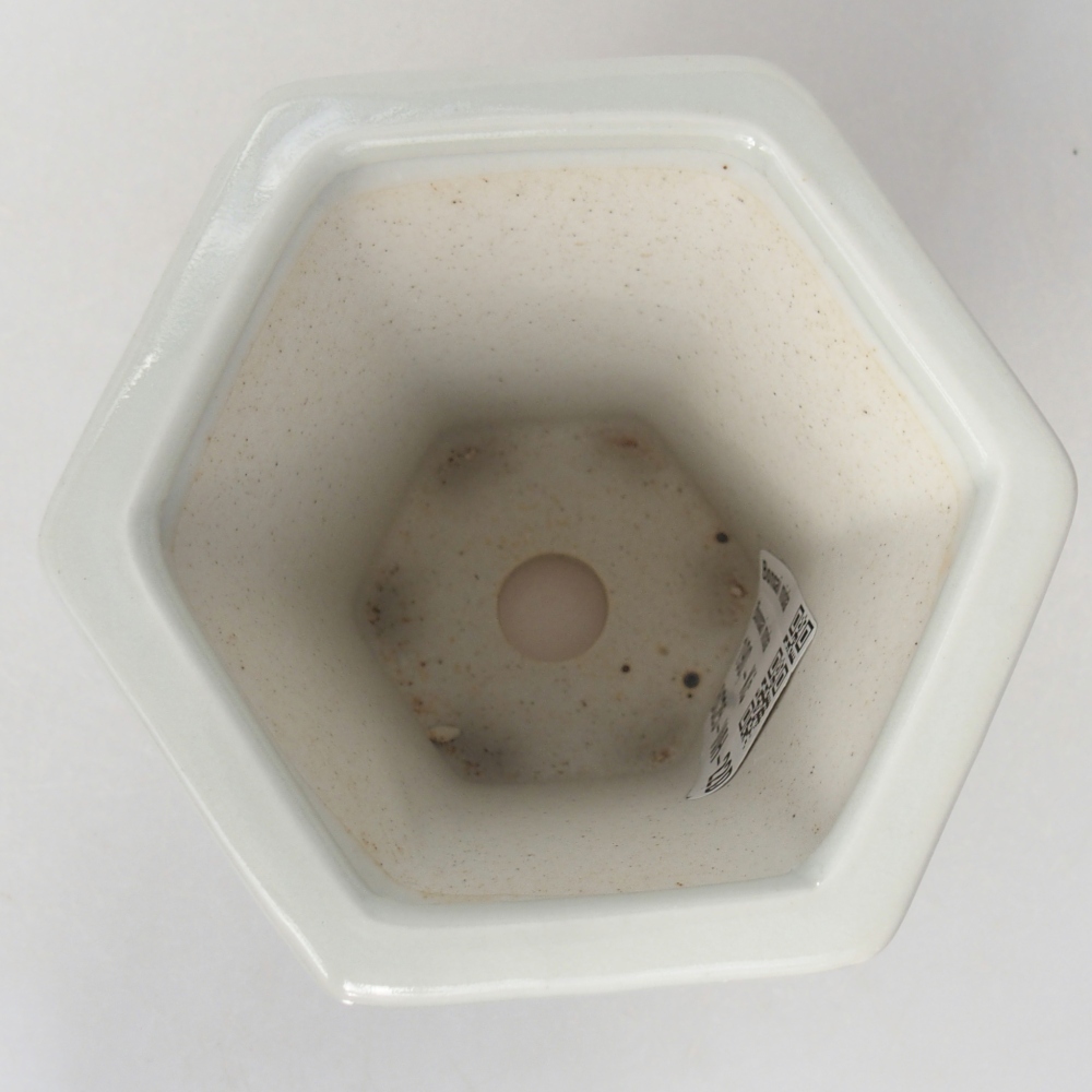 Bonsaischale aus Keramik 10 x 9 x 9 cm, Farbe weiß