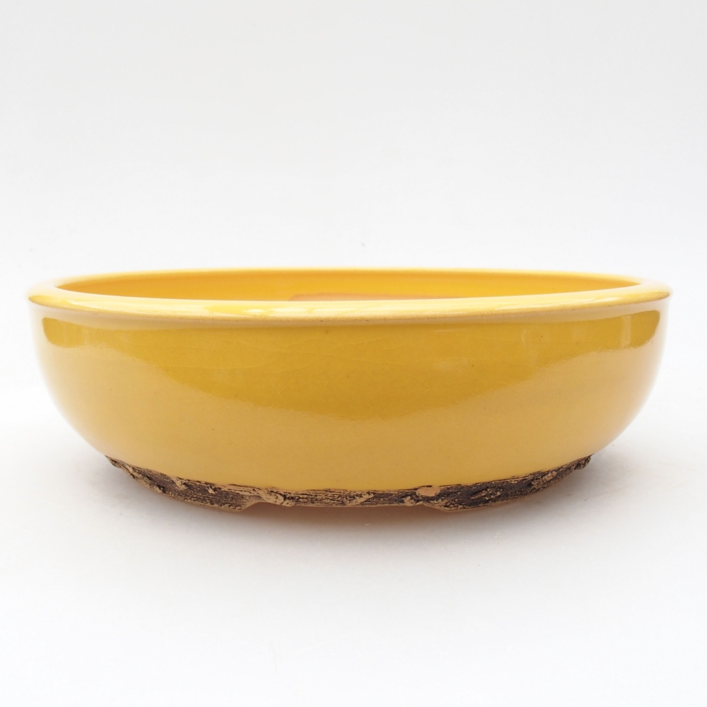 Keramik-Bonsaischale 20,5 x 20,5 x 6 cm, Farbe Gelb