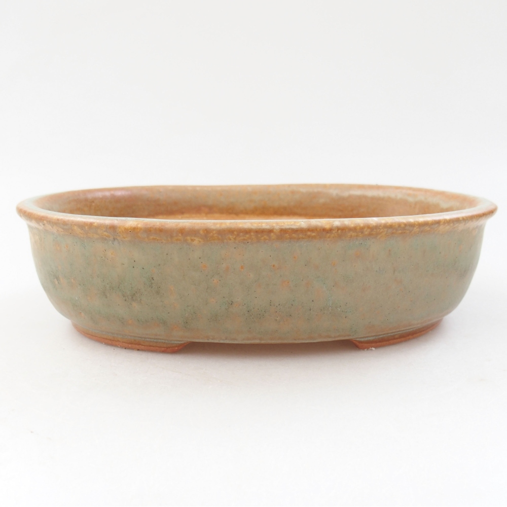 Keramik-Bonsaischale 19 x 15 x 5 cm, Farbe Grün