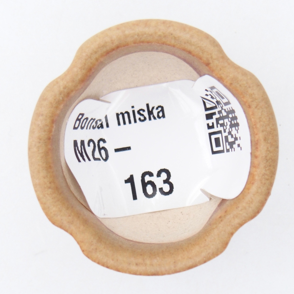 Mini-Bonsaischale 3,5 x 3,5 x 2,5 cm, braun