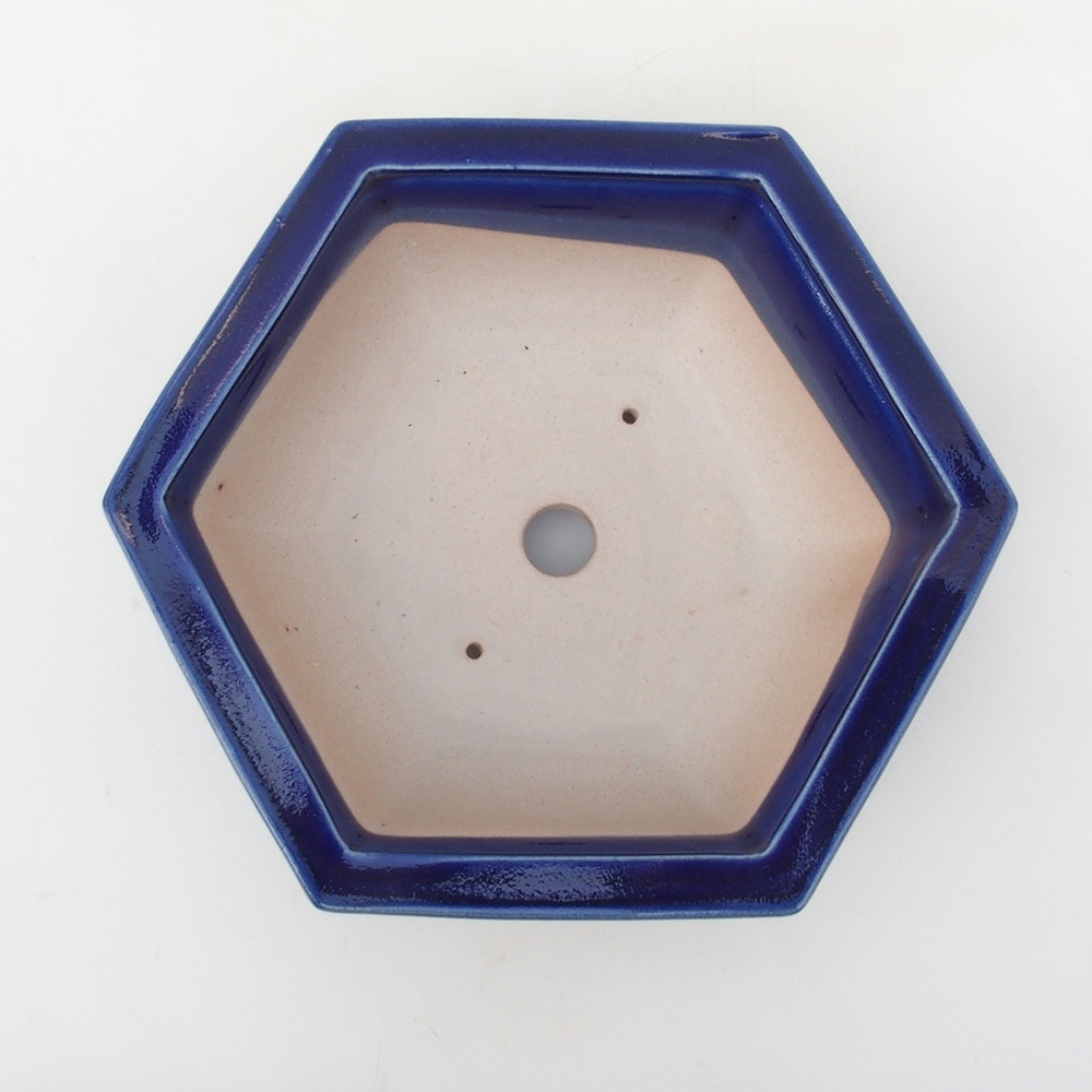 Bonsai-Schale H05 – 19 x 21,5 x 7 cm – blau