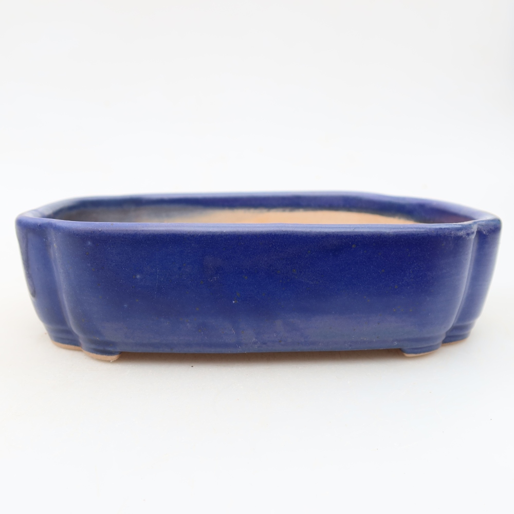 Bonsaischale aus Keramik 16 x 11,5 x 4 cm, Farbe blau