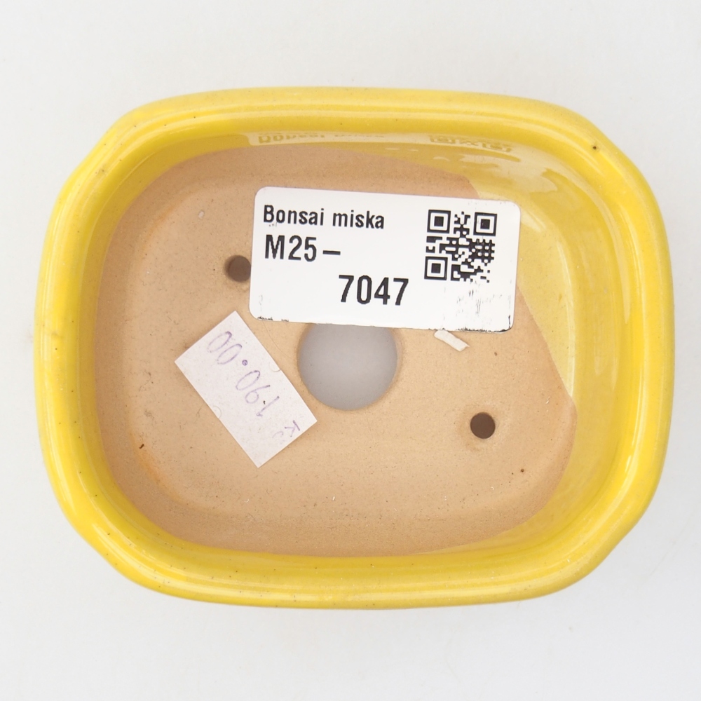 Bonsaischale aus Keramik 8,5 x 7 x 3,5 cm, gelb