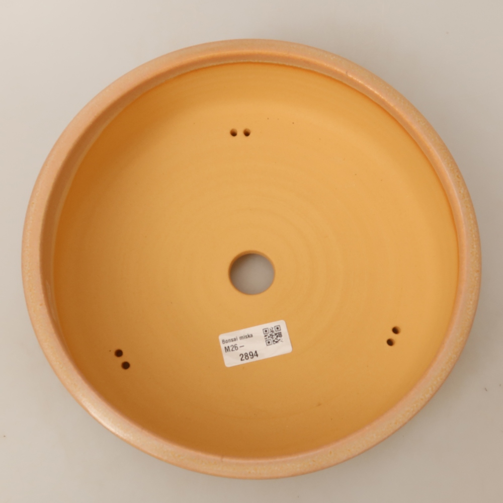 Bonsaischale aus Keramik 24,5 x 24,5 x 7 cm, Farbe beige