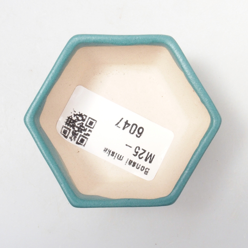 Keramik Bonsai Schale 5,5 x 5,5 x 2,5 cm, Farbe blau