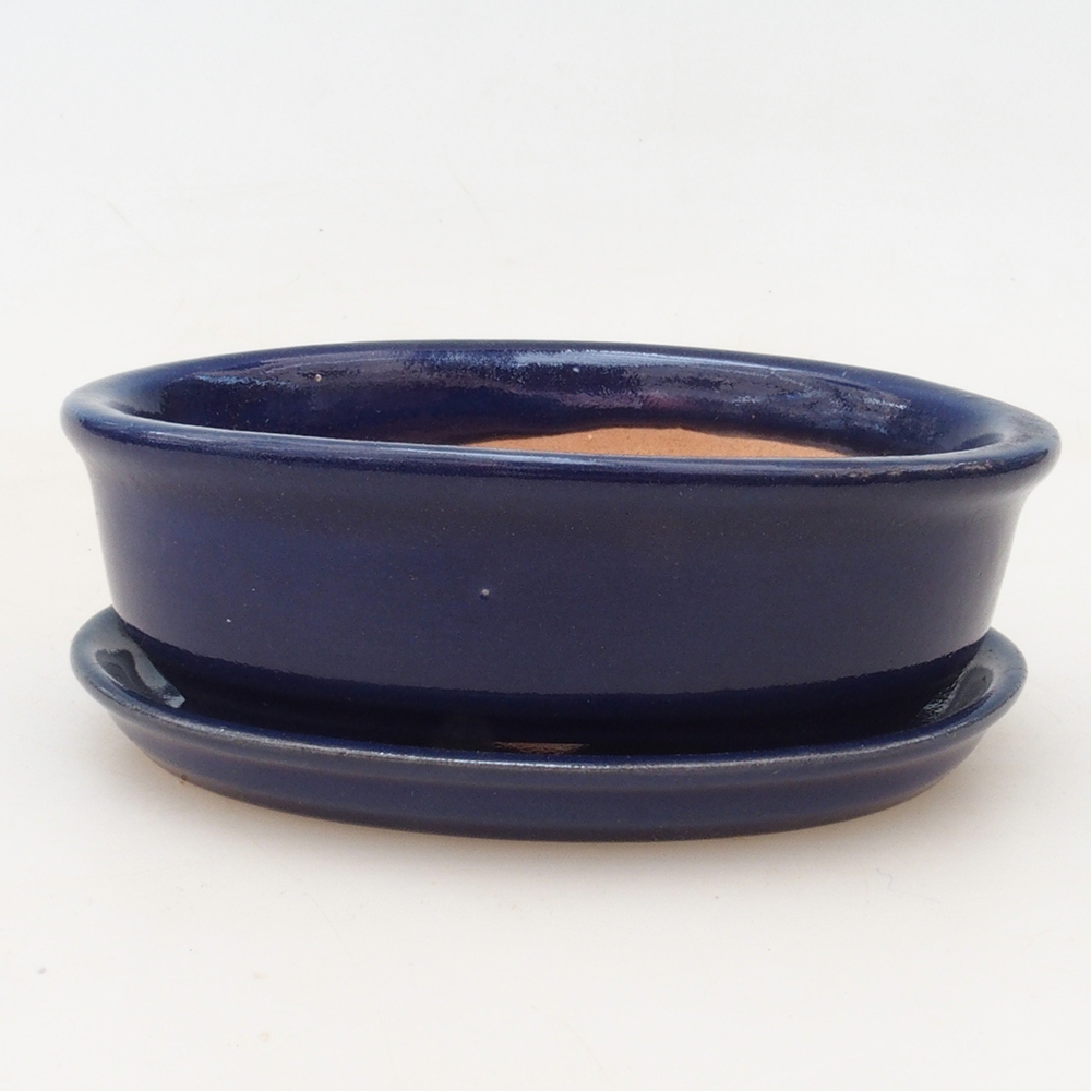 Bonsai-Schale + Untertasse H04 – Blau