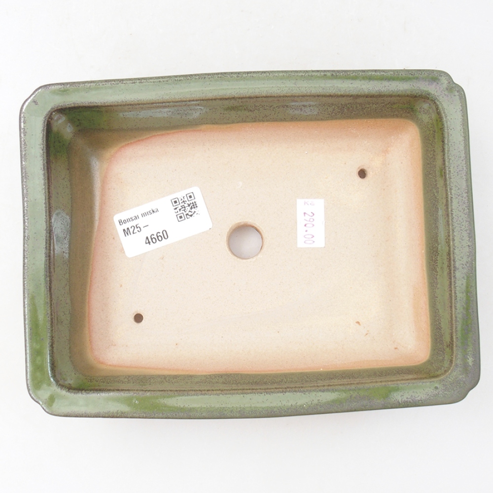 Keramik-Bonsaischale 17,5 x 13 x 4 cm, Farbe Grün
