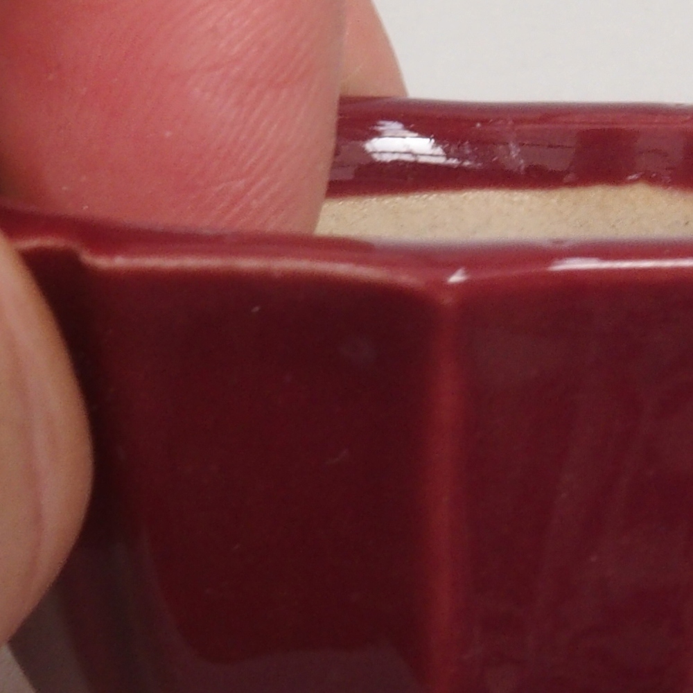 Mini-Bonsaischale 5 x 5 x 3 cm, Farbe Burgunder