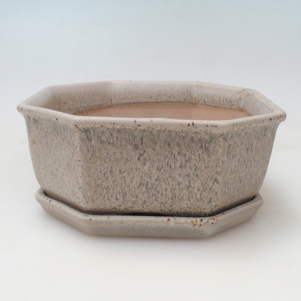Bonsai-Schale + Untertasse H01 – 12 x 9 x 5 cm