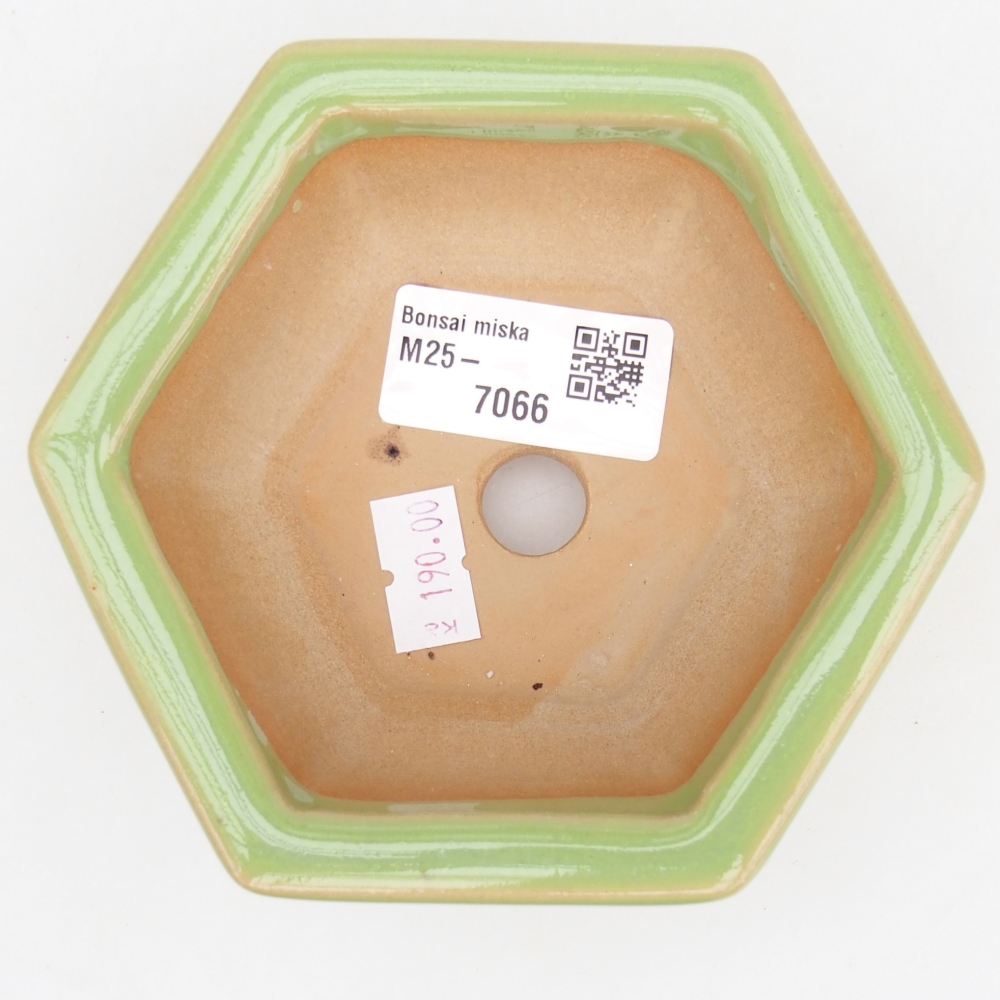 Bonsaischale aus Keramik 12 x 10,5 x 4,5 cm, grün