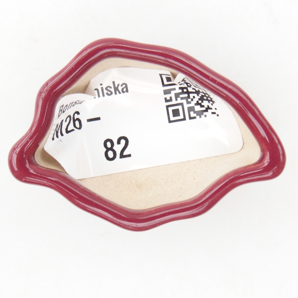 Mini-Bonsaischale 5 x 3 x 2 cm, bordeauxrot
