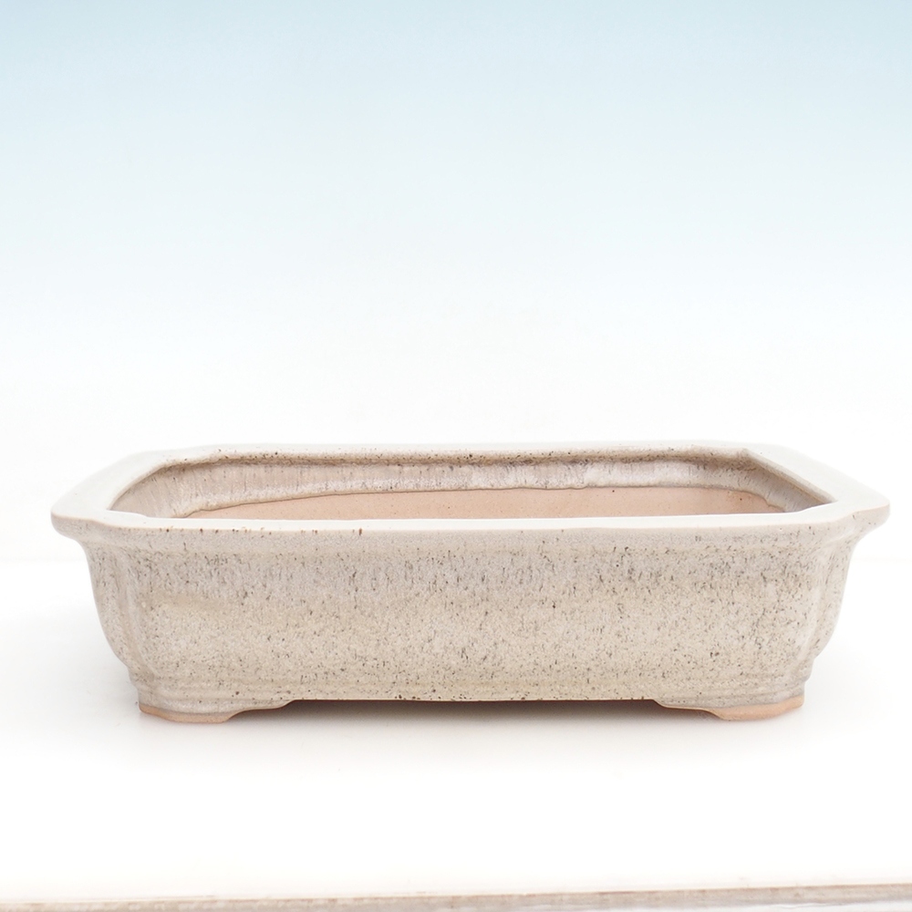 Bonsaischale + Untertasse H20 - 26,5 x 21,5 x 6,5 cm - beige