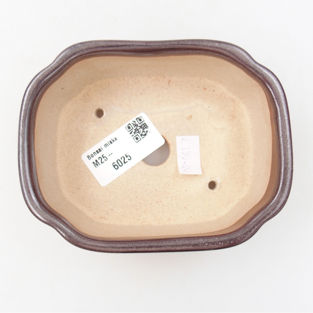 Keramik-Bonsaischale 12 x 9 x 4,5 cm, Farbe  braun