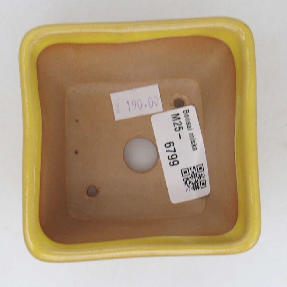 Bonsaischale aus Keramik 8,5 x 8,5 x 6 cm, gelb