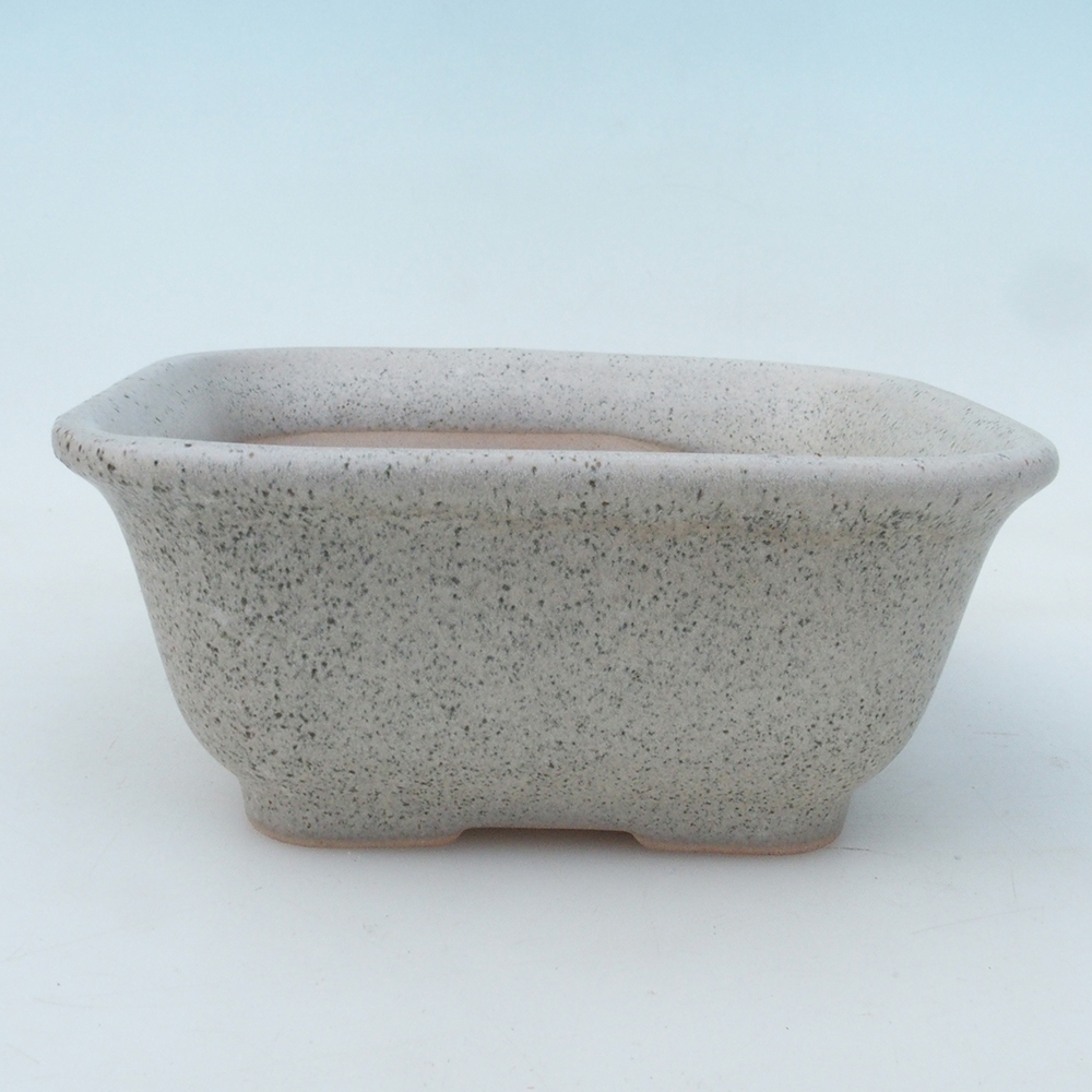 Bonsai-Schale + Unterschale H38 – 12 x 10 x 5,5 cm – beige