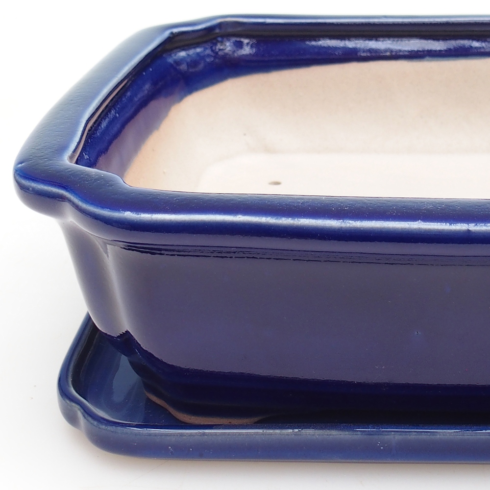 Bonsaischale + Untertasse H20 - 26,5 x 21,5 x 6,5 cm - blau