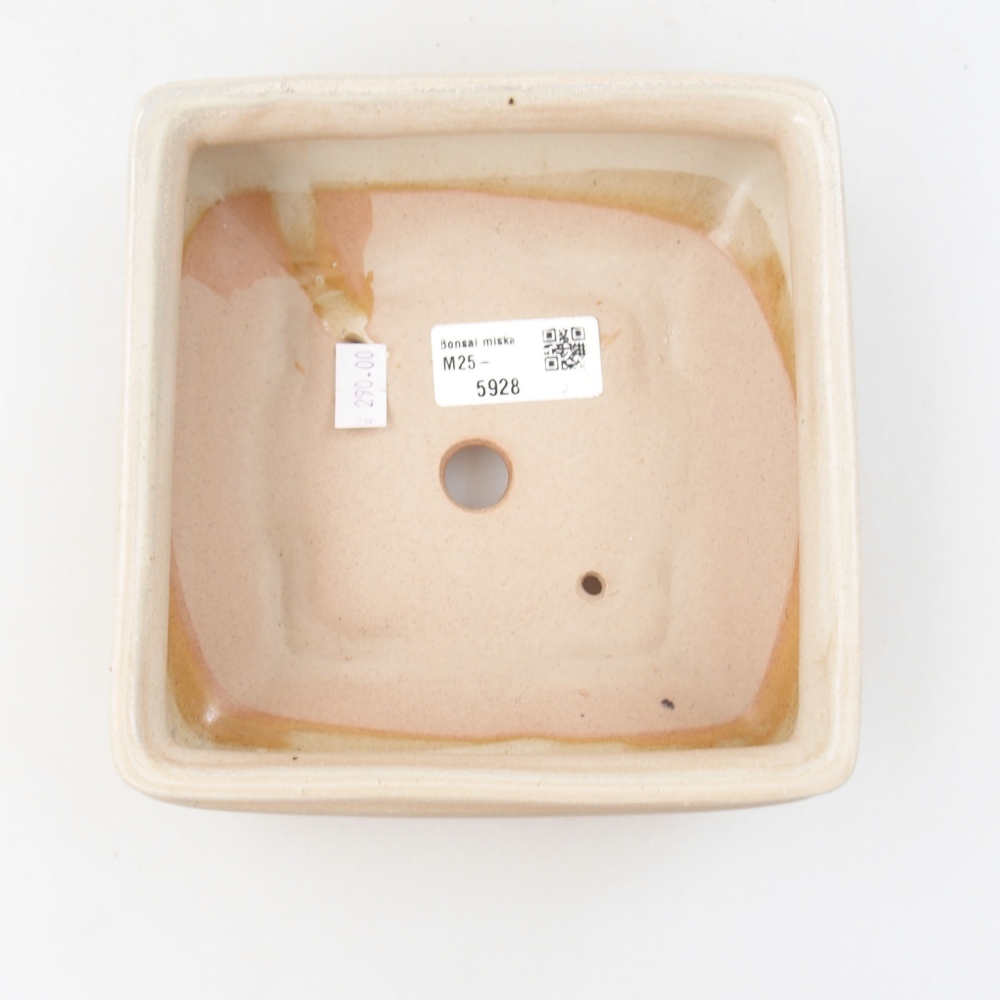 Keramik-Bonsaischale 15,5 x 15,5 x 6 cm, Farbe beige