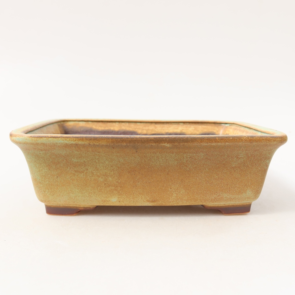 Bonsaischale aus Keramik 17,5 x 14,5 x 5,5 cm, grün