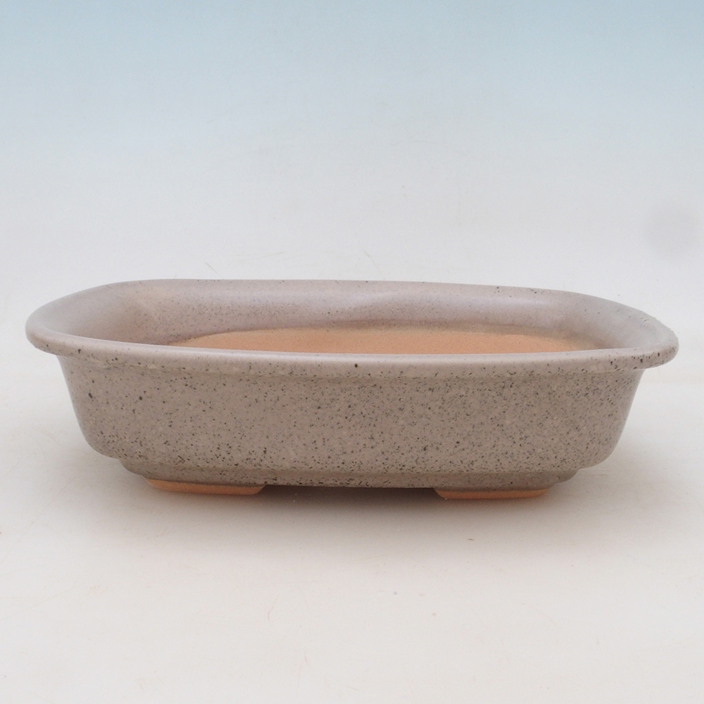 Bonsai-Schale + Untertasse H02 – Beige