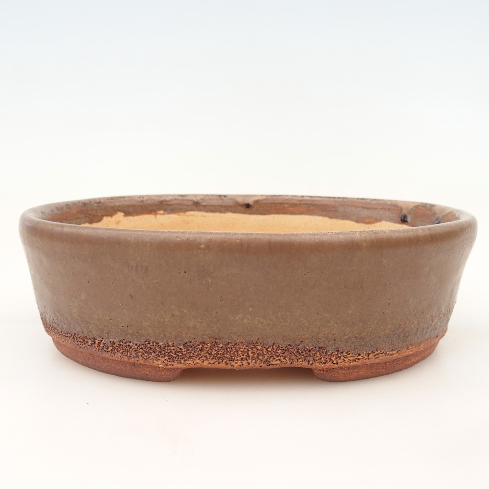 Bonsaischale 19,5 x 16 x 6 cm , Farbe braun