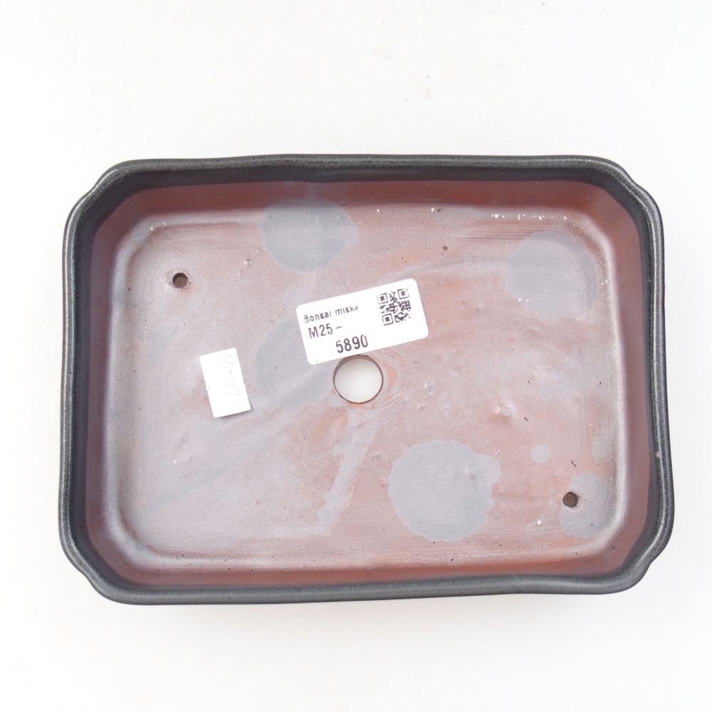 Keramik-Bonsaischale 18 x 13 x 3,5 cm, Farbe grau