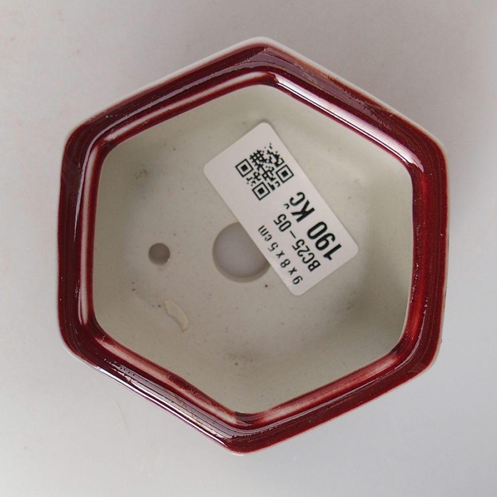 Keramik-Bonsaischale 9 x 8 x 5 cm, Farbe Rot