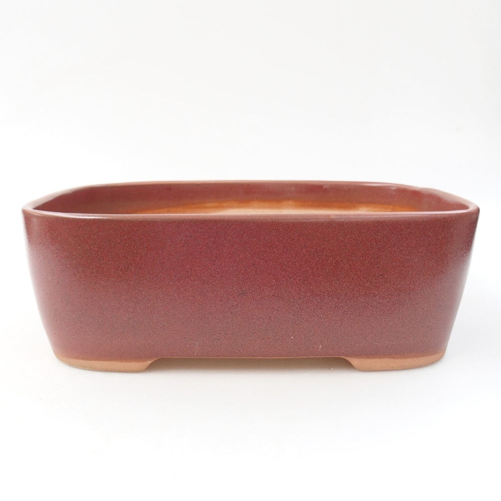 Keramik-Bonsaischale 23 x 18 x 7,5 cm, Farbe burgunder