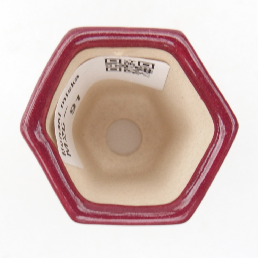 Mini-Bonsaischale 4 x 3,5 x 5,5 cm, bordeauxrot