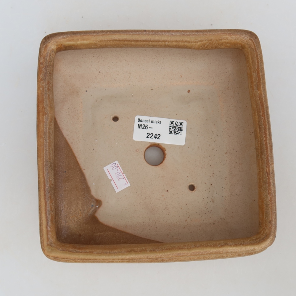Keramik-Bonsai-Schale, 15,5 x 15,5 x 6 cm, Farbe: Beige