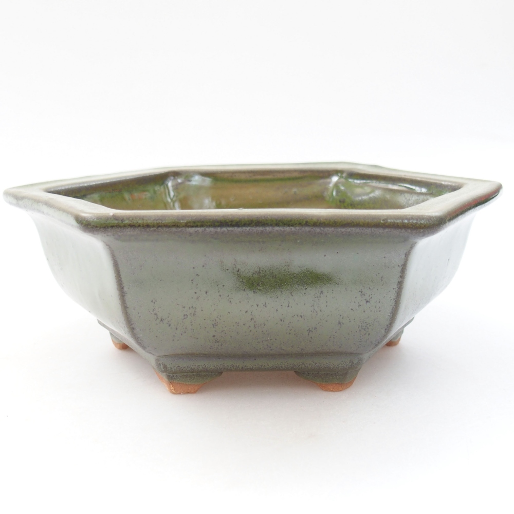 Keramik-Bonsaischale 17 x 15 x 6 cm, Farbe Grün