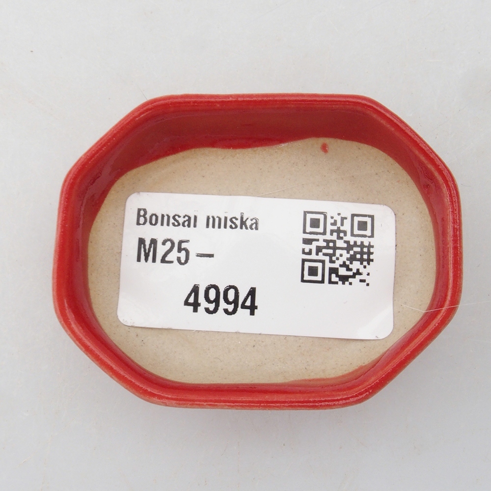 Mini-Bonsaischale 5,5 x 4 x 1,5 cm, Farbe rot