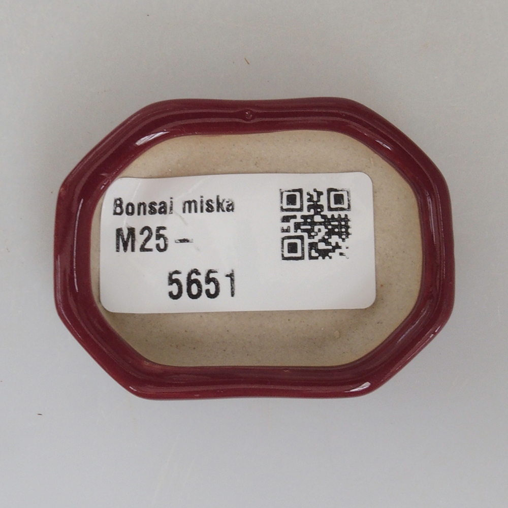 Mini-Bonsaischale 5,5 x 4 x 1,5 cm, Farbe Burgunder