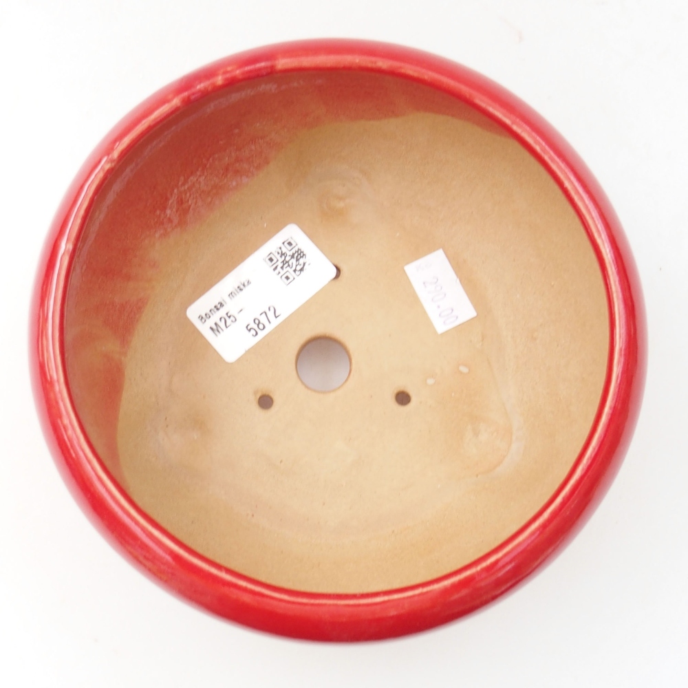 Keramik-Bonsaischale 14 x 14 x 7 cm, Farbe rot
