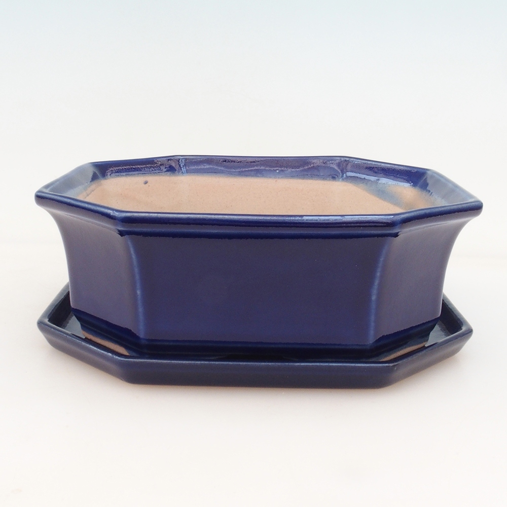 Bonsai-Schale + Schale H14 - blau