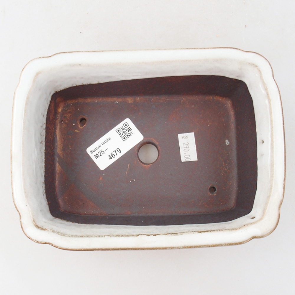 Keramik-Bonsaischale 17 x 13 x 6 cm, Farbe Weiß