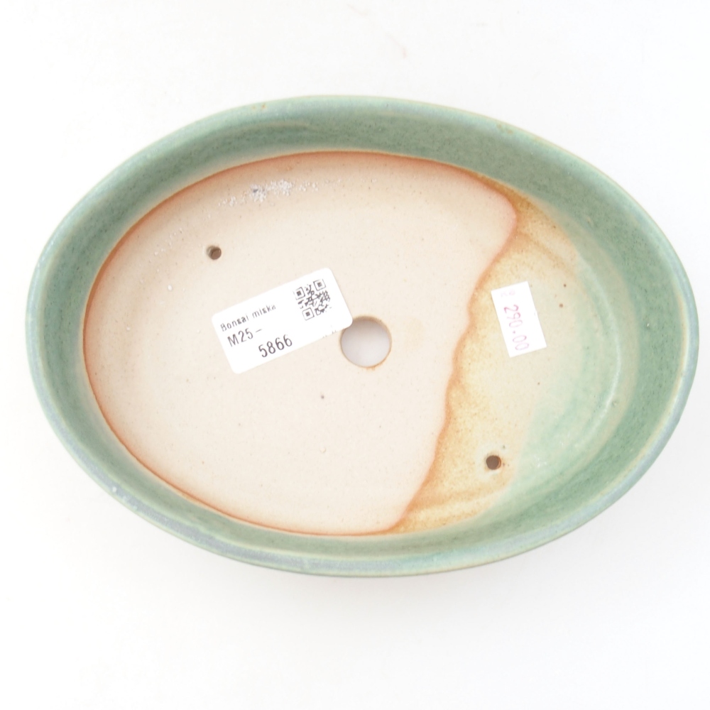Keramik-Bonsaischale 18,5 x 13,5 x 4,5 cm, Farbe Grün