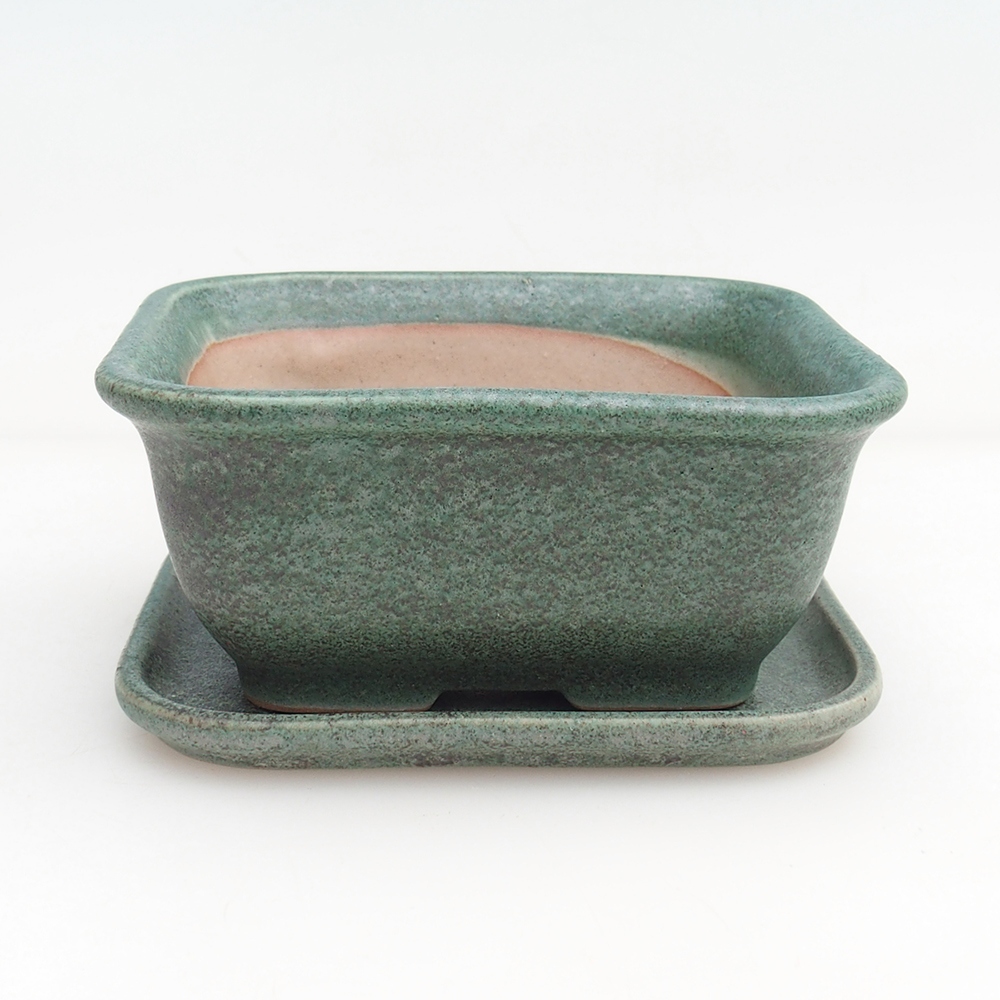 Bonsaischale + Untertasse H38 - 12 x 10,5 x 5 cm.
