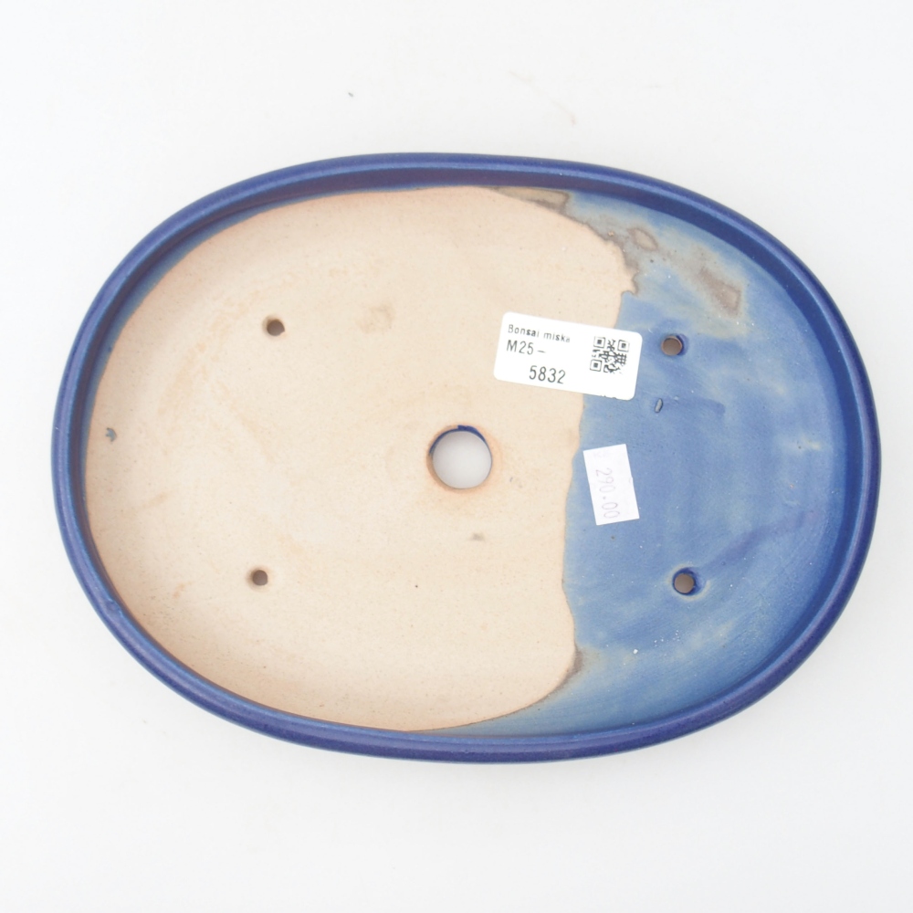 Keramik-Bonsaischale 22,5 x 17 x 3 cm, Farbe blau