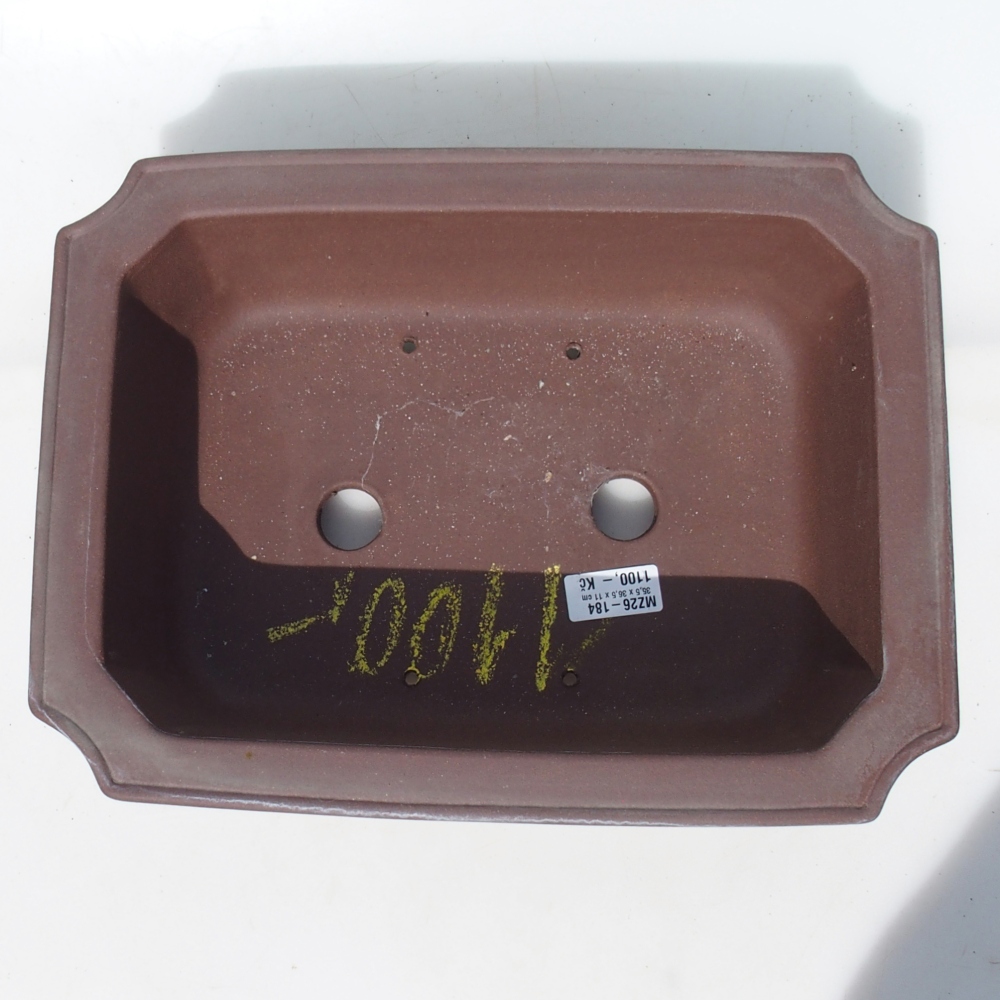 Bonsaischale 35,5 x 36,5 x 11 cm Birke braun