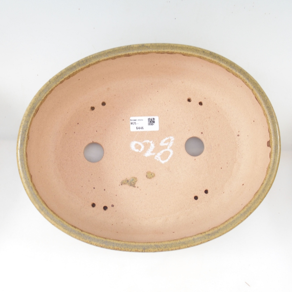 Bonsaischale 33 x 26 x 8,5 cm , Farbe gelb
