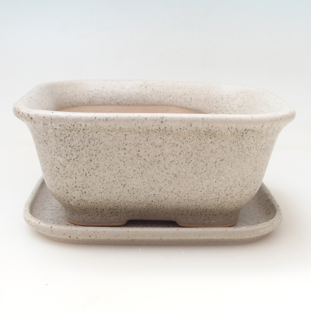 Bonsai-Schale + Untertasse H01 – 12 x 9 x 5 cm