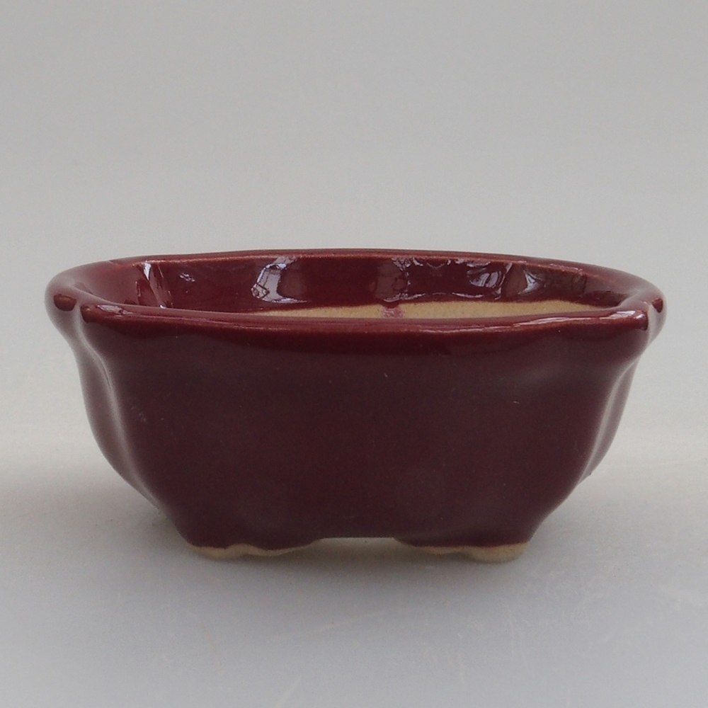 Mini-Bonsaischale 6 x 6 x 2,5 cm, Farbe Burgunder
