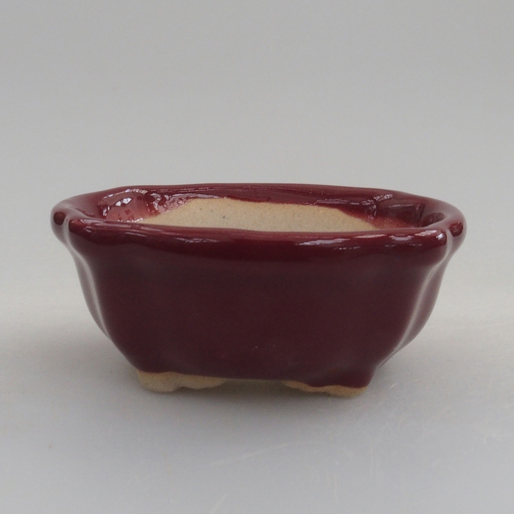 Mini-Bonsaischale 6 x 6 x 2,5 cm, Farbe Burgunder