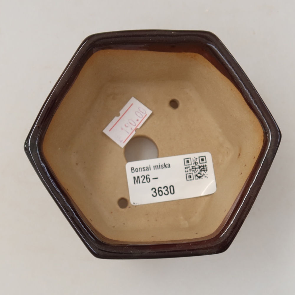 Bonsaischale aus Keramik 10 x 9 x 5 cm, braun