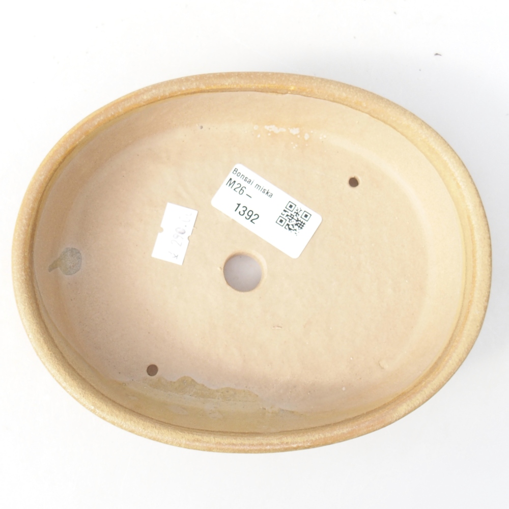 Bonsaischale aus Keramik 17 x 13,5 x 4 cm, Farbe beige