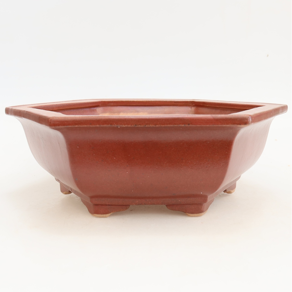 Keramik-Bonsai-Schale 28 x 24,5 x 9 cm, Farbe: weinrot
