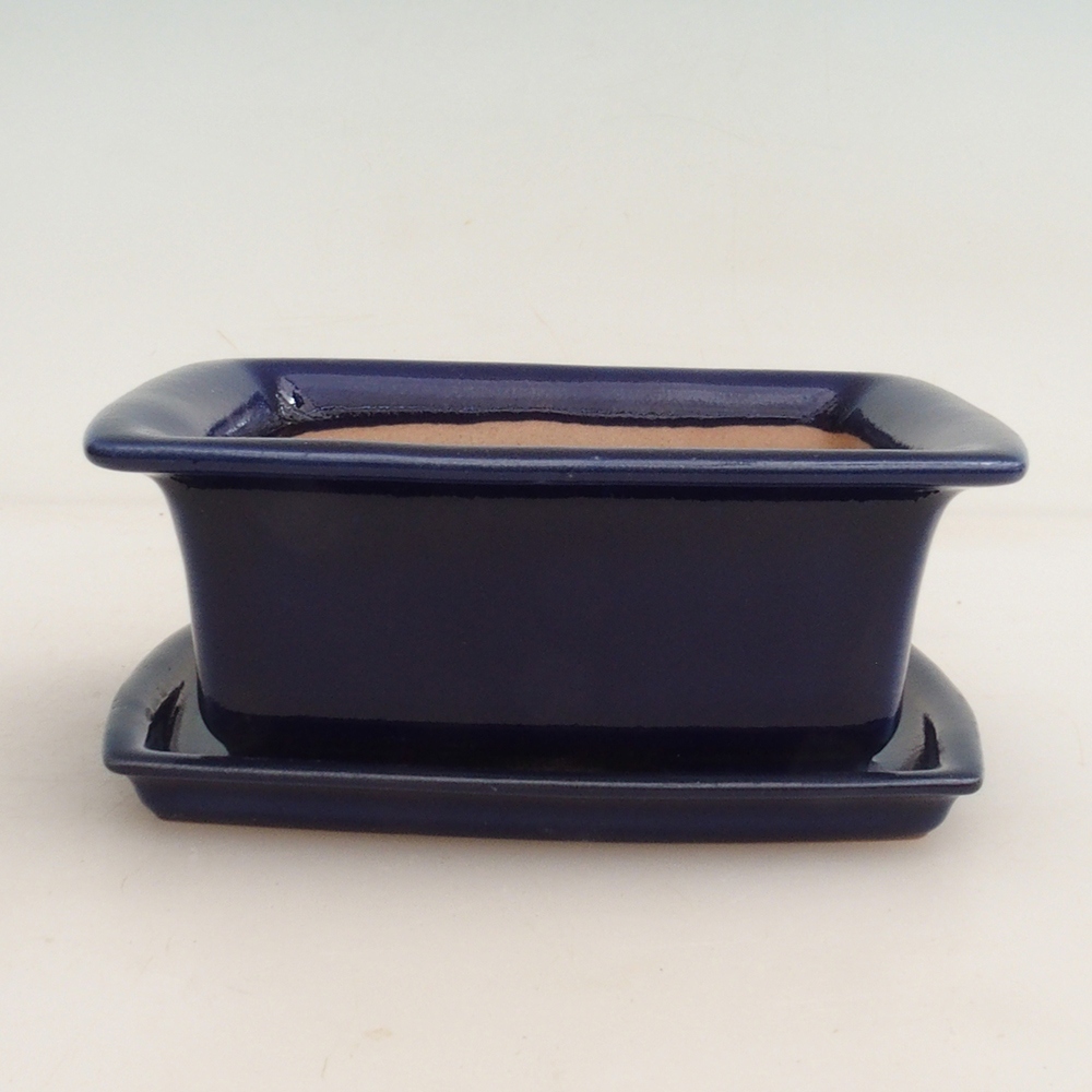 Bonsai-Schale + Untertasse H11 - 11,5 x 10 x 4 cm - Blau