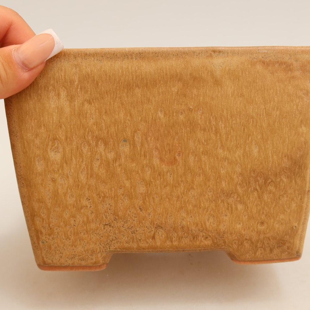 Bonsai-Schale aus Keramik, 15 x 15 x 10,5 cm, Farbe: Beige